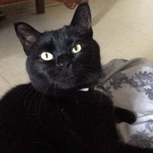 Meet your Posher, Kyle